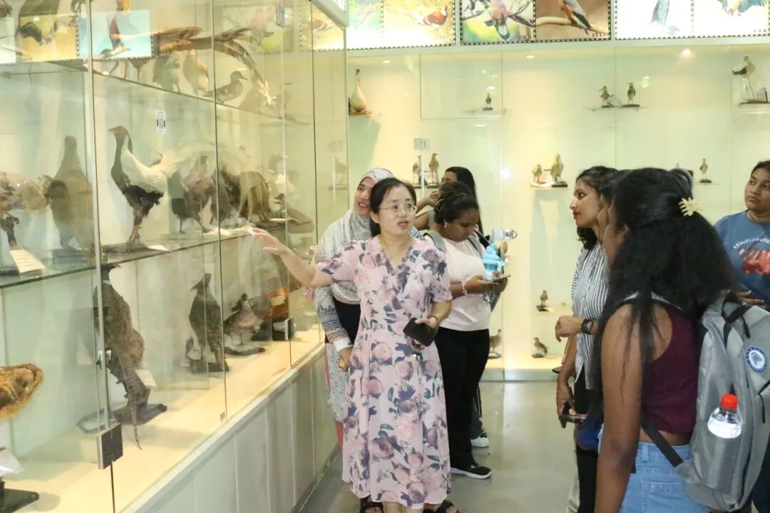 参观我校生物标本馆.JPG